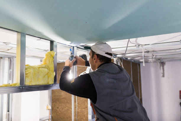 Best Eco-Friendly Insulation in Audubon, PA